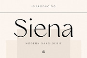 The Modern Typography Bundle, a Serif Font by Ivan Rosenberg (Thumbnail 31 of 58)