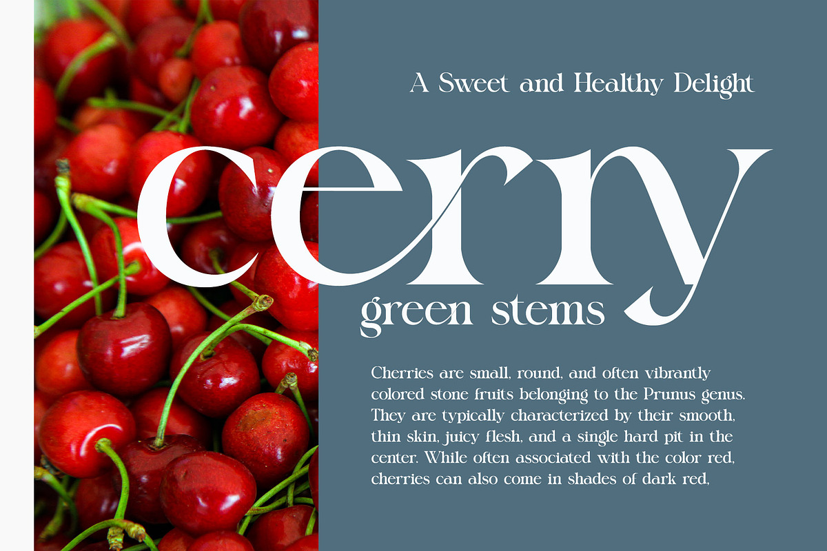 Volgue Modern Serif Font, a Serif Font by Alfinart (Photo 8 of 10)
