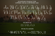 Winter, a Handwritten Font by FreshTypeINK (Thumbnail 7 of 8)