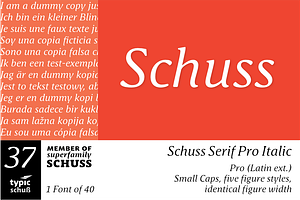 SchussSerifProIta No.37 (1 Font)