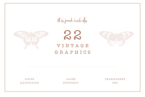 Vintage Vector: Butterflies & Moths