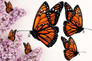 6 Beautiful Butterfly Illustrations