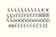Theodora Valencia Luxury Serif Font, a Serif Font by UICreative (Thumbnail 10 of 13)