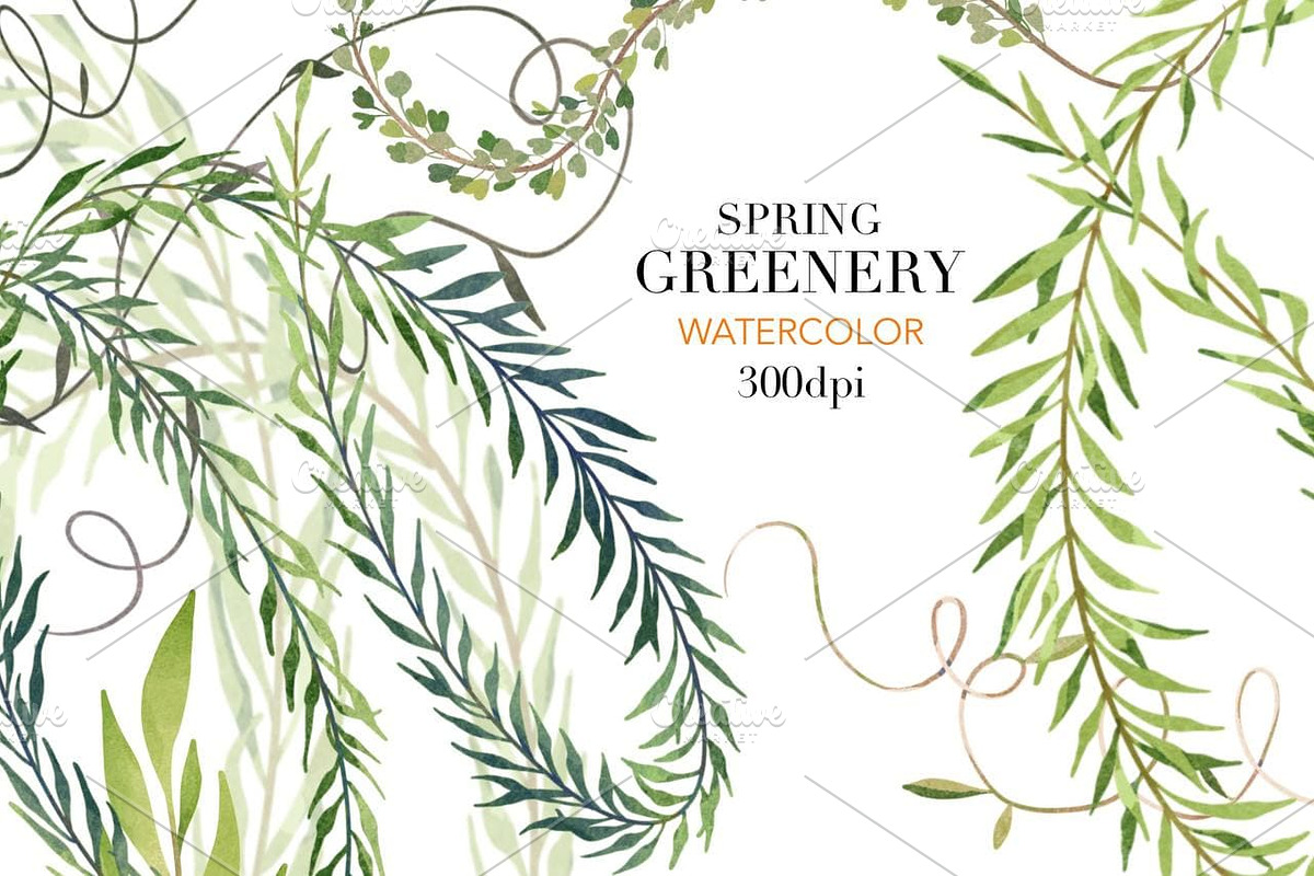 Greenery Watercolor Clipart, a Decorative Illustration by NKTKNS (Photo 2 of 7)