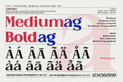 Raiken - Serif font family, a Serif Font by Artistic & Unique (Thumbnail 6 of 14)