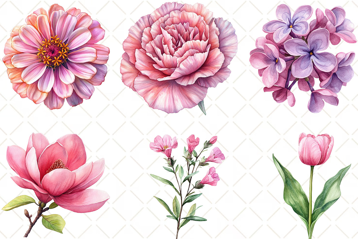 Pink Flowers Watercolor Clipart, an Illustration by Black Bird Studio (Photo 2 of 6)