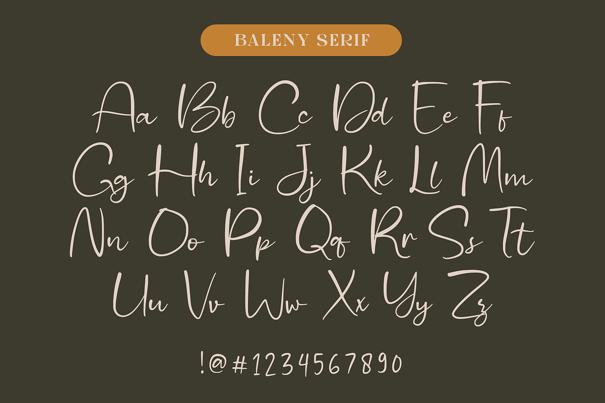 Baleny Elegant Font Duo, a Serif Font by Craft Supply Co. (Photo 12 of 12)