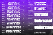 Stretch & Bleed - Brutalist Font, a Sans Serif Font by Aiyari (Thumbnail 3 of 13)