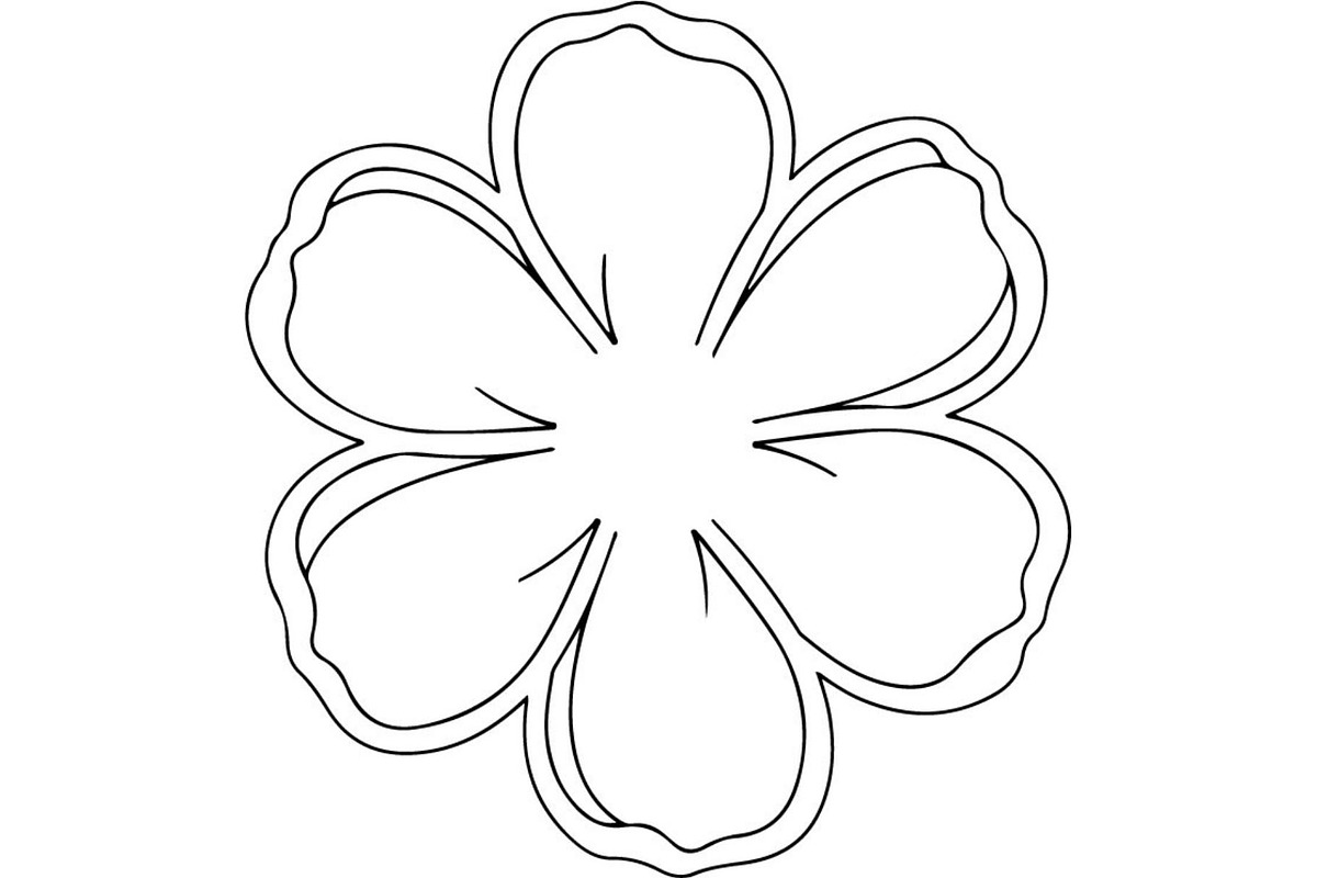 Vintage Botanical Flower Vector Set, an Object Illustration by Designer_Momina (Photo 13 of 26)