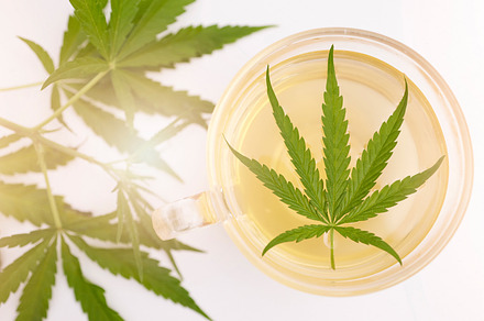 Cannabis, marijuana plant and weed leaf in herbal tea, hot beverage or drink for health, wellness and relax. Healthcare, cbd and hemp for medical innovation with natural medicine for health benefits, a Photo by Peopleimages.com