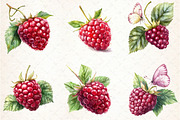 Watercolor Raspberry Clipart, an Illustration by Libby Wishes (Thumbnail 3 of 4)