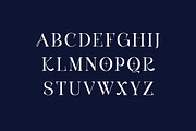 Crown Emperial Serif Display Font, a Serif Font by UICreative (Thumbnail 2 of 13)
