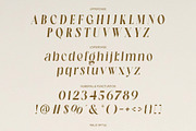 Halind Modern Elegant Serif, a Serif Font by Alfinart (Thumbnail 8 of 10)