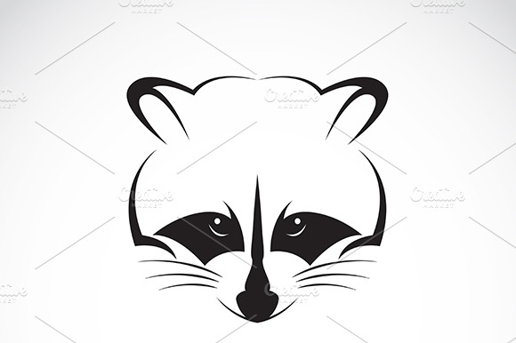 Vector Of Raccoon Face Design.