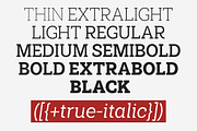 Shemekia, a Slab Serif Font by Areatype (Thumbnail 10 of 15)