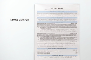 Professional Resume Template Simple