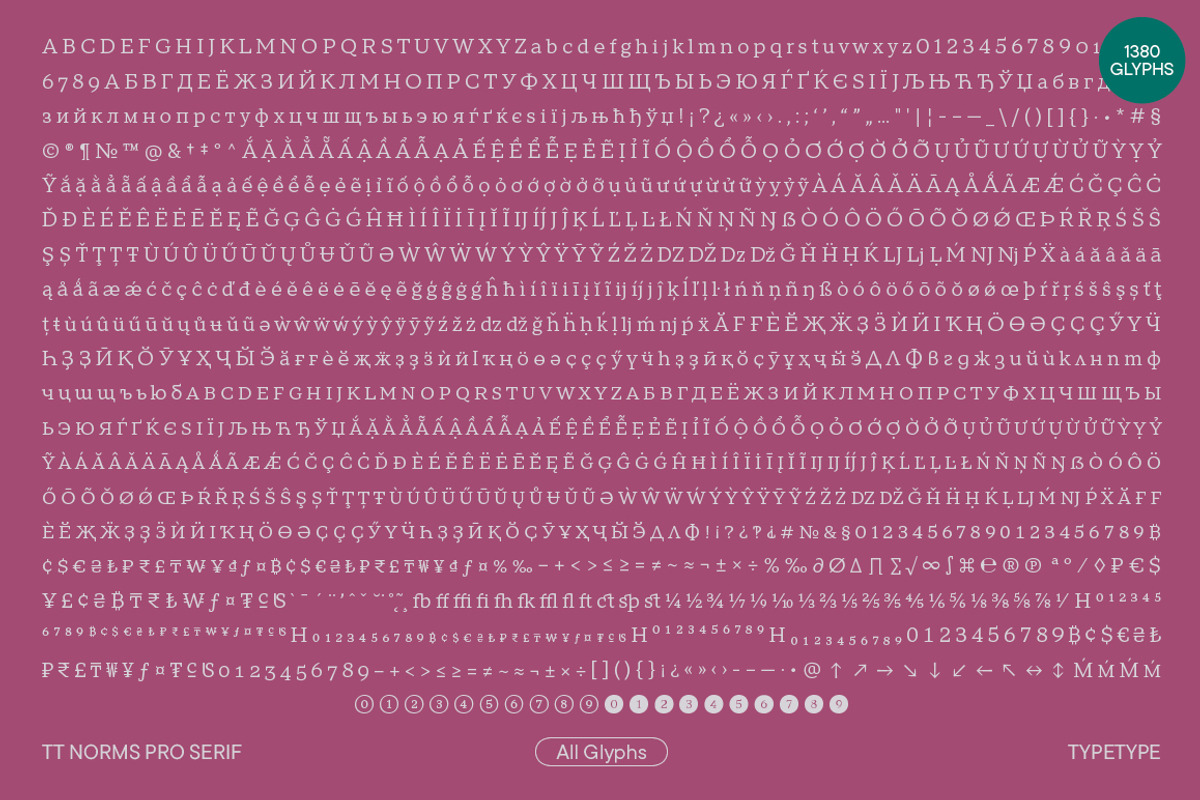 TT Norms Pro Serif, a Serif Font by TypeType (Photo 6 of 15)