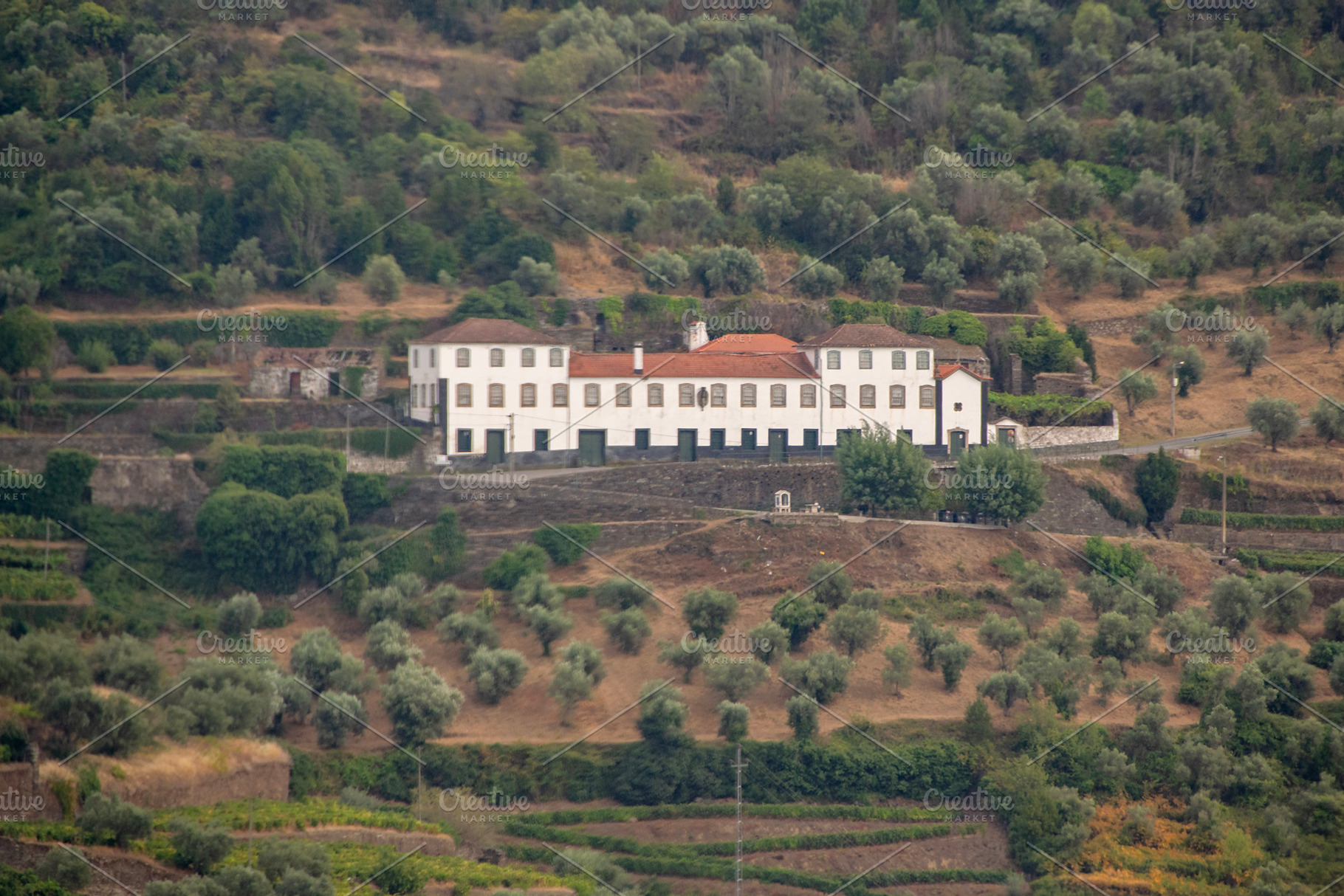 Stately white manor in the portuguese countryside, an Architecture Photo by DanFLCreativo