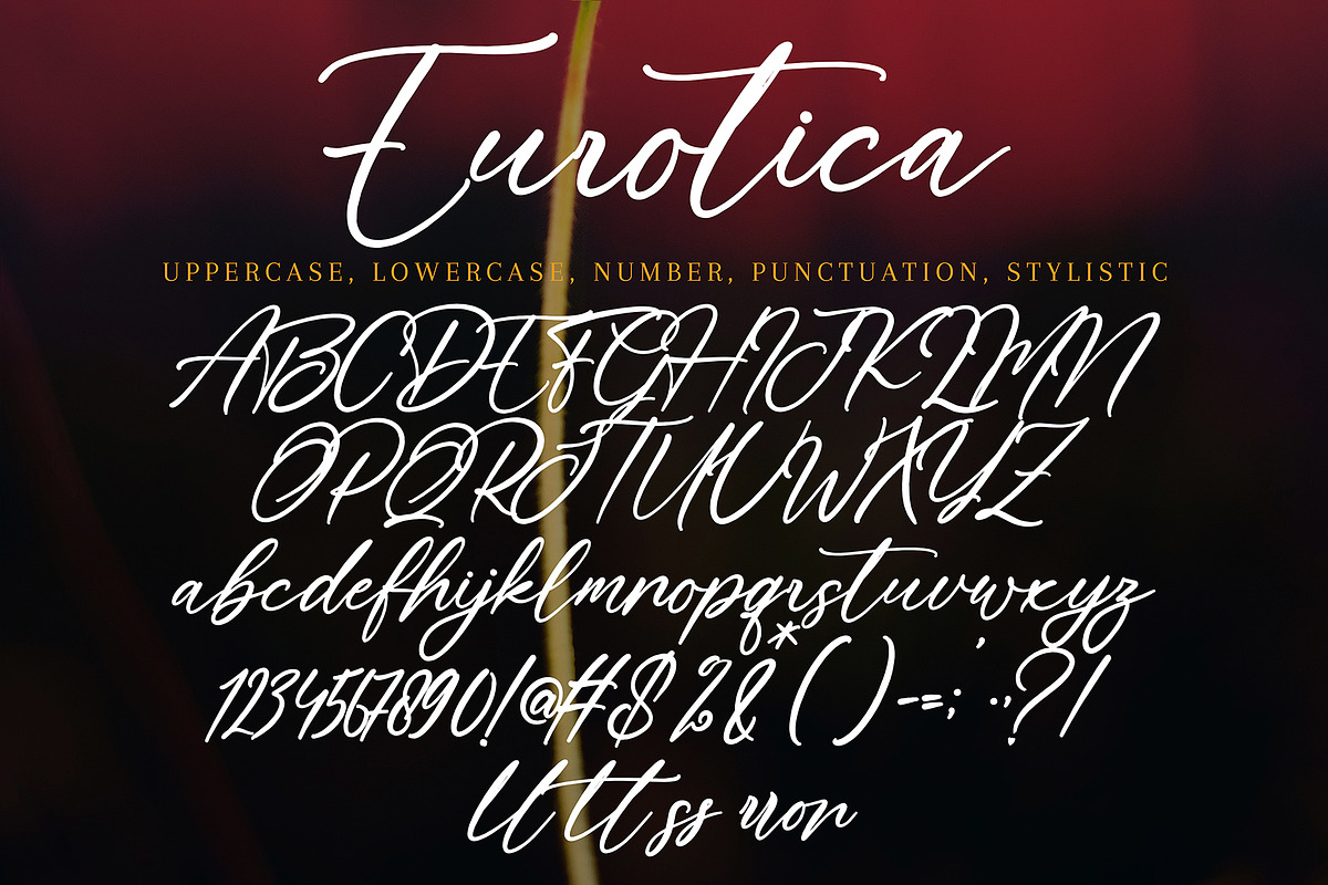 Eurotica, a Handwritten Font by pineungtype (Photo 7 of 7)
