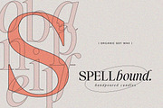 Astire Klarish, a Serif Font by Dora Typefoundry (Thumbnail 34 of 36)
