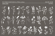 Shadow Bloom Analog Botanical PNG, an Object Graphic by DreamoraArt (Thumbnail 3 of 10)