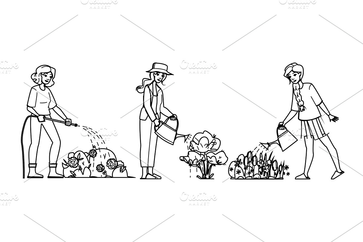 water garden woman watering vector, a Person Illustration by pikepicture