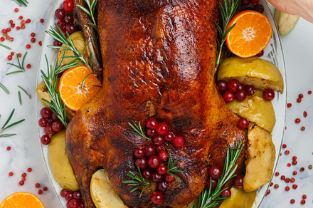 Baked christmas duck or goose, a Food & Drink Photo by La_Vanda