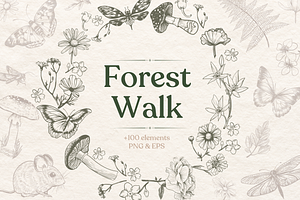 Forest Walk