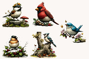Whimsical Woodland Birds Clipart, a Seasonal Illustration by Designworld (Thumbnail 7 of 10)