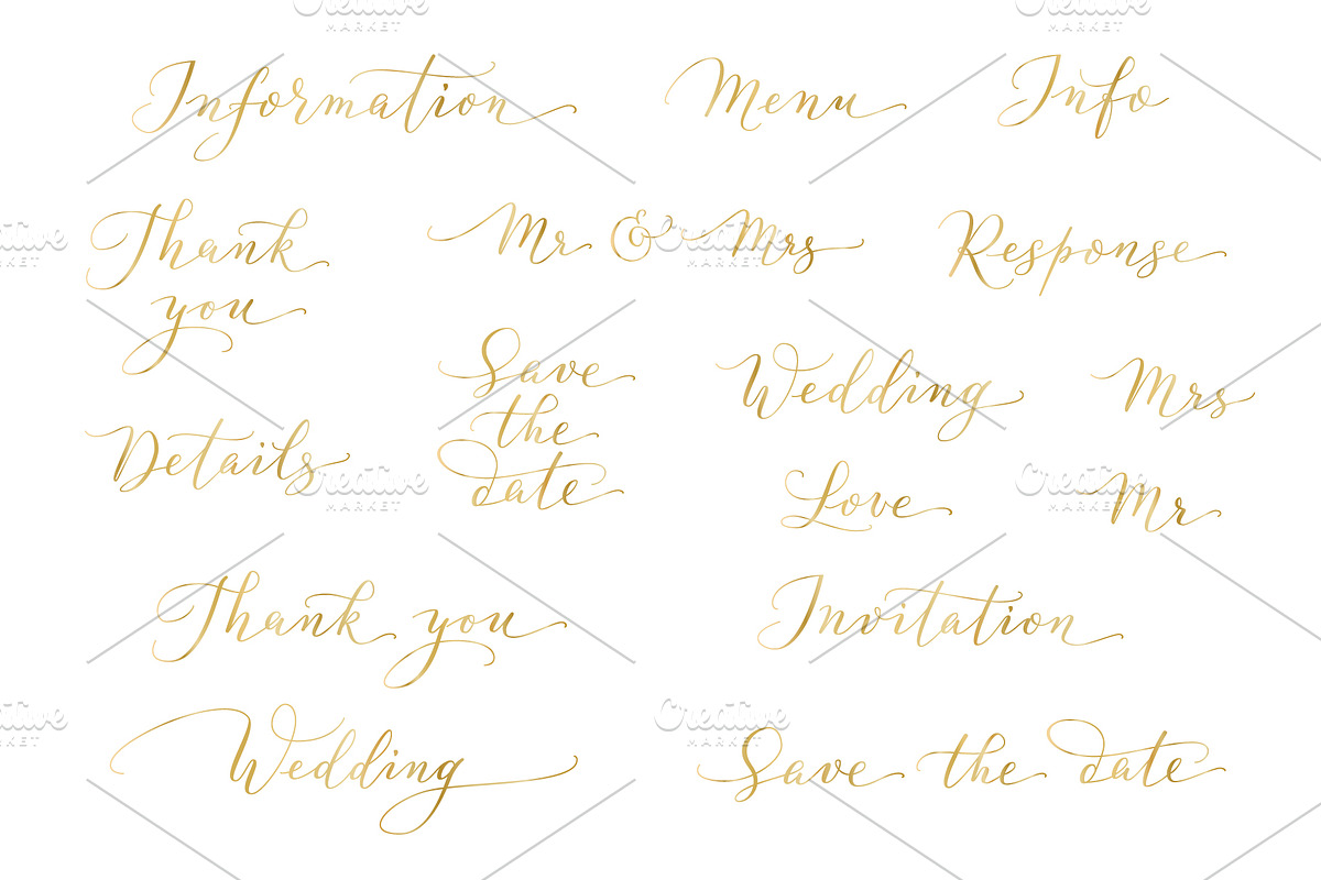 Collection of Wedding calligraphy, a Decorative Illustration by Olga Proz (Photo 5 of 8)