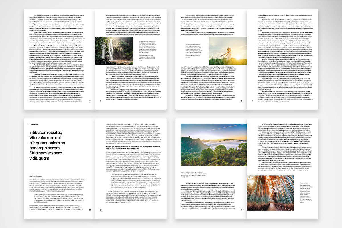 Professional Report Template preview 3
