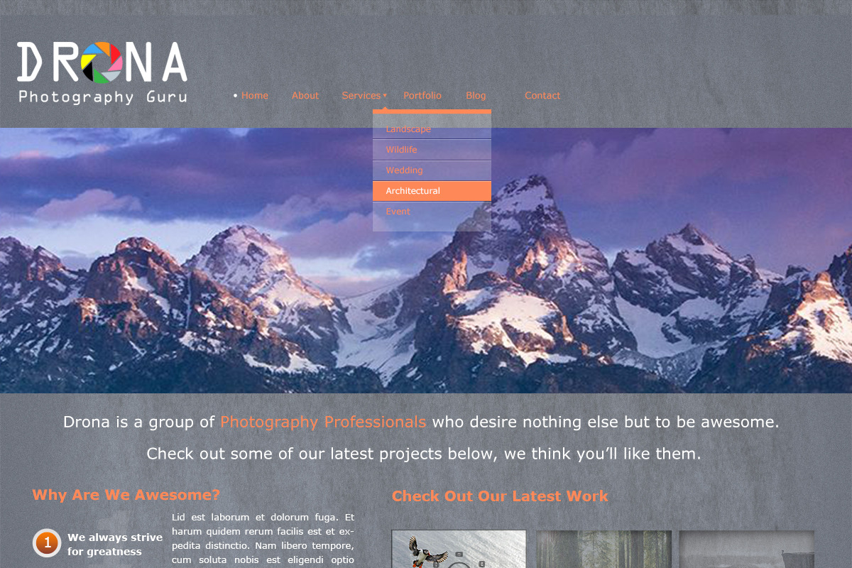 Drona - Photography PSD Templates, a Websites & App Template by Tetuko Themes (Photo 2 of 2)