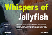 Demine Rough, a Sans Serif Font by Craft Supply Co. (Thumbnail 5 of 8)