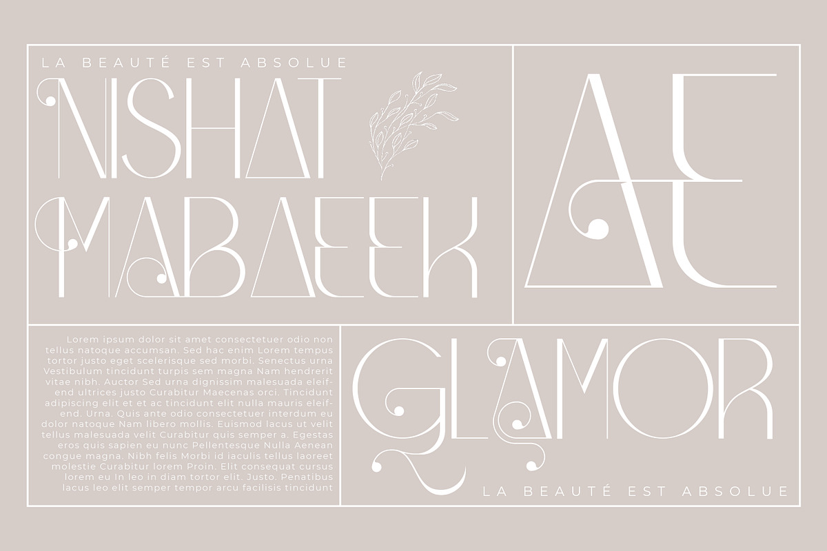 Qegor Modern and Minimalist Serif, a Serif Font by Storytype Studio (Photo 3 of 12)