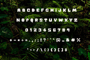 Retro Display Font-Tropical Soda, a Handwritten Font by ZoloDesignHub (Thumbnail 4 of 9)