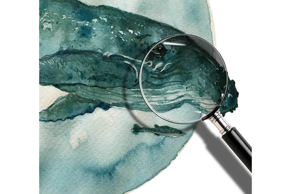 Watercolor Dolphins & Whales poster, an Animal Illustration by Bychovsky design (Photo 6 of 7)