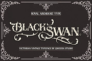 Royal Archduke - Victorian Vintage, a Serif Font by Qweera Studio (Thumbnail 3 of 12)