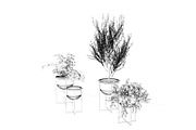 Interior Plants Trio, a Furniture 3D Model by 3DCargo (Thumbnail 6 of 9)
