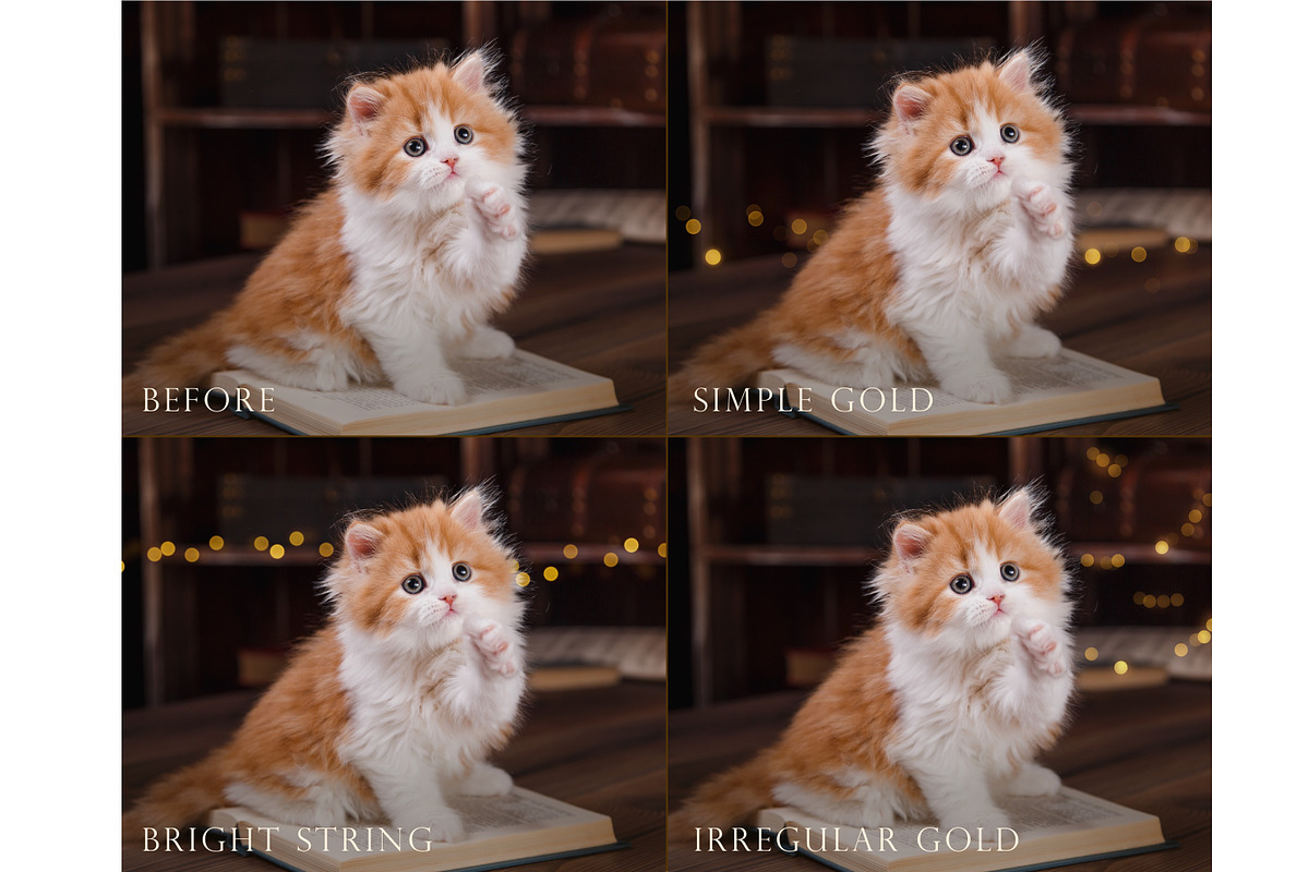 Simple bokeh photoshop overlays, an Object Graphic by Paper Farms (Photo 5 of 7)