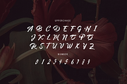 Lubirens, a Script Font by GlottaTypeface (Thumbnail 5 of 8)