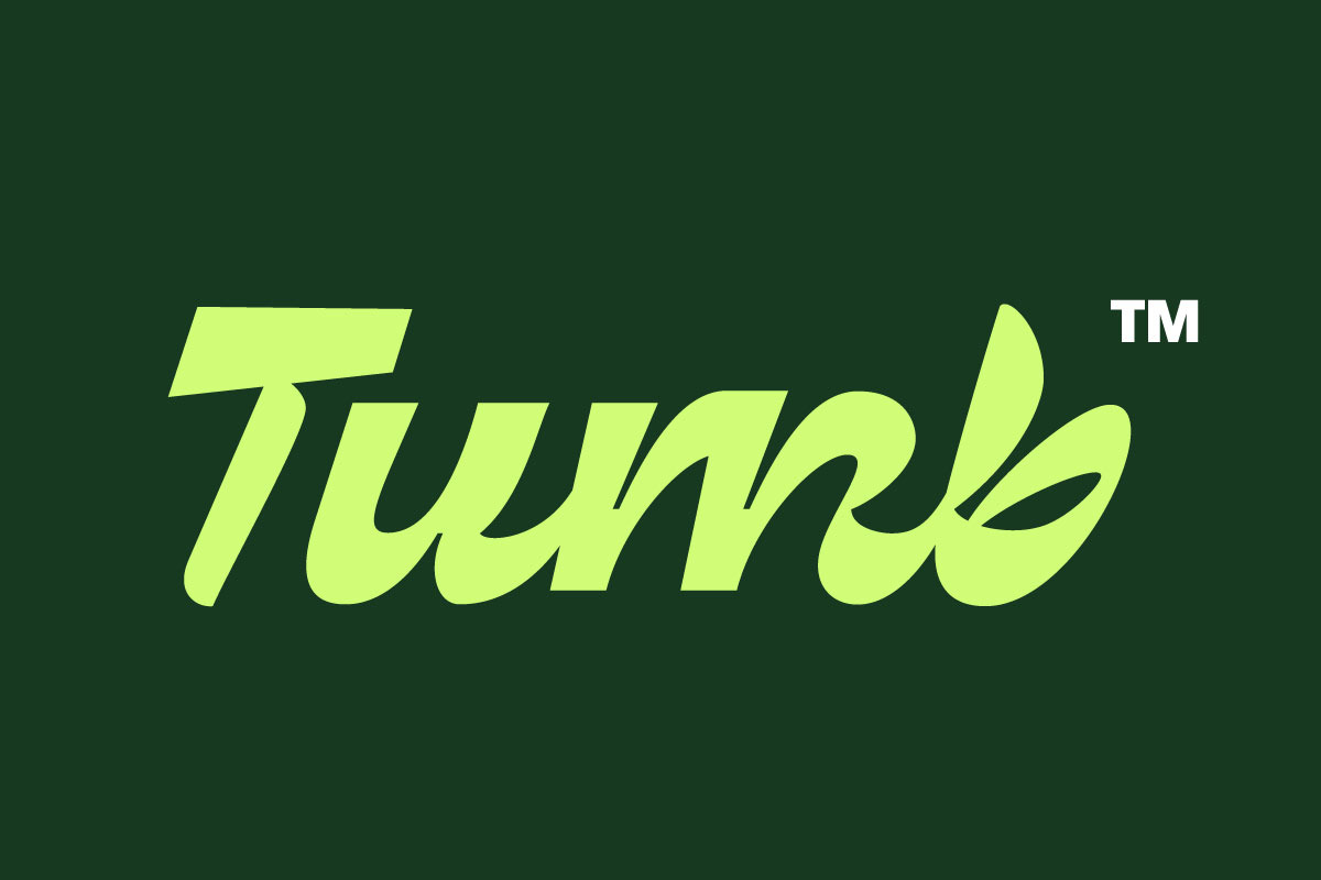 Dx Aiter - Bold Modern Typeface, a Script Font by Dirtyline Studio (Photo 4 of 13)