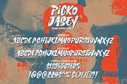 Picko Jasey - Rough Brush Font, a Handwritten Font by HanzelSpace Studio (Thumbnail 8 of 8)