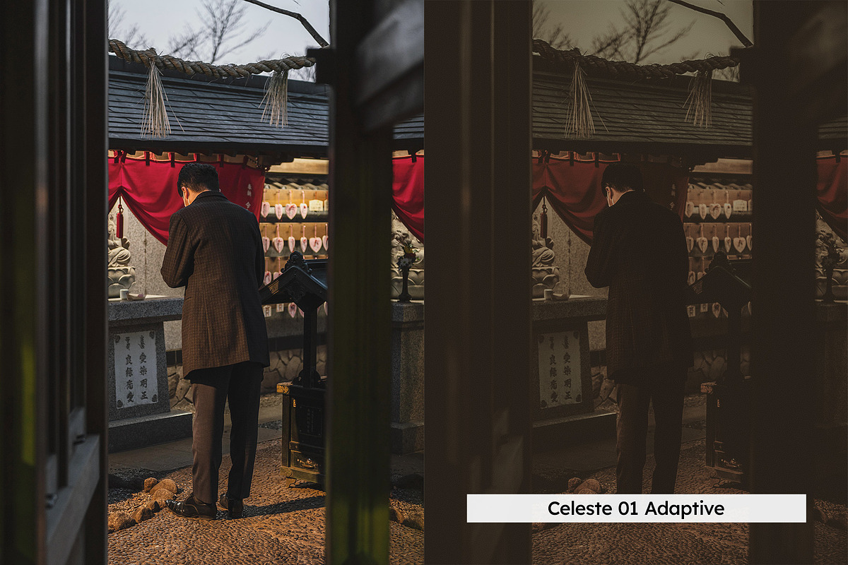 20 Memoirs Lightroom Presets & LUTs, a Preset Add-On by SparkleStock (Photo 11 of 17)