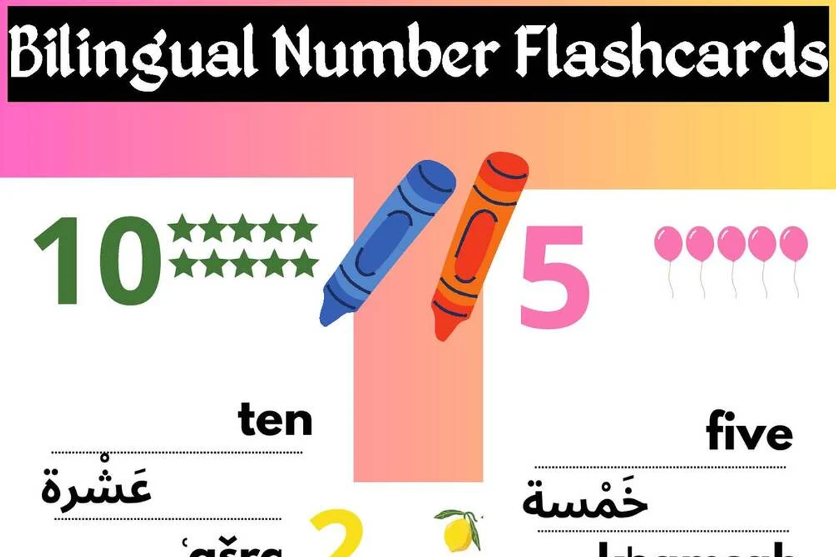 Bilingual Number Flashcards Ar Eng, an Education Illustration by Sourcedigi (Photo 1 of 4)