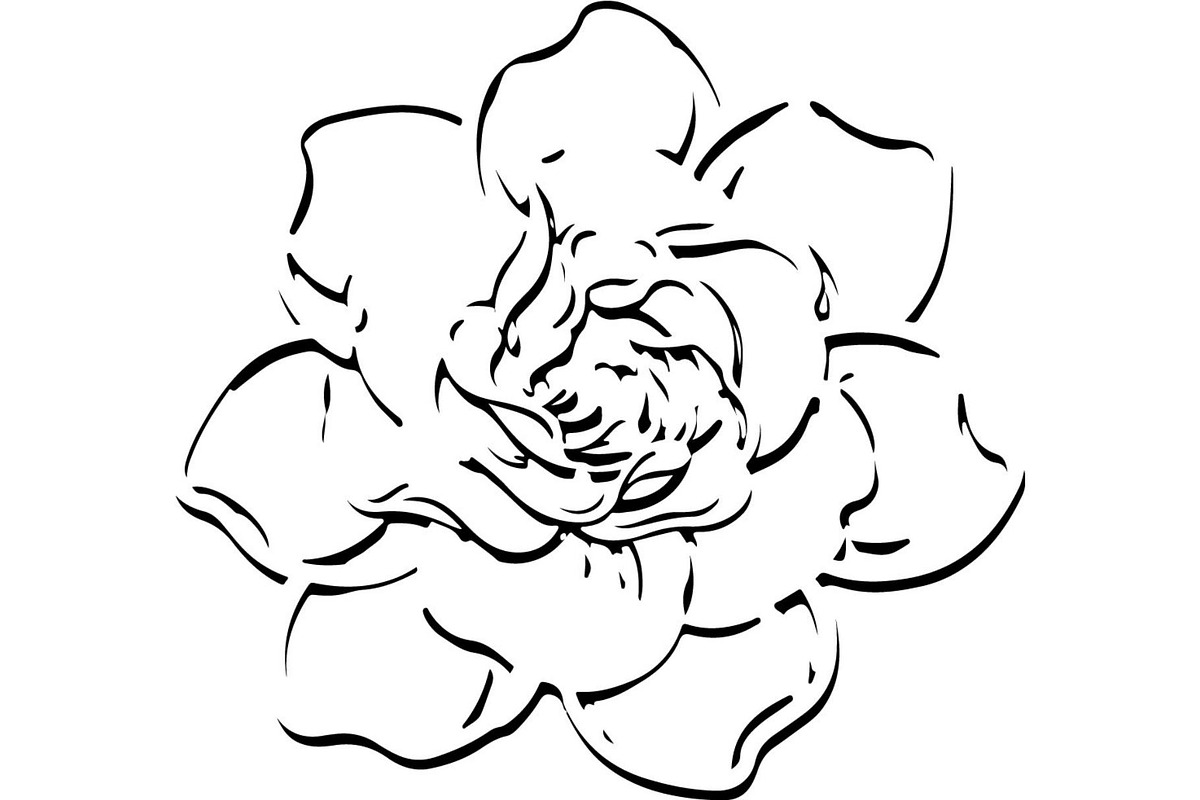 Decorative Floral Mandala Rose Butte, an Object Illustration by Designer_Momina (Photo 3 of 21)
