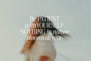 The Very Vogue Serif Family, a Serif Font by Nicky Laatz (Thumbnail 26 of 37)