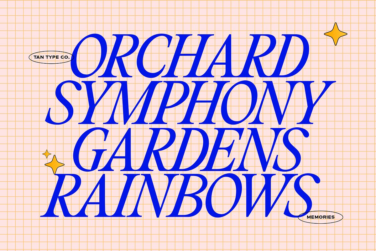 TAN - MEMORIES, a Serif Font by TanType (Photo 7 of 11)