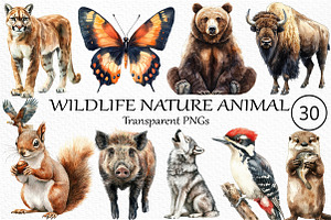 Watercolor Wildlife Nature Animals, an Illustration by Craft Nest