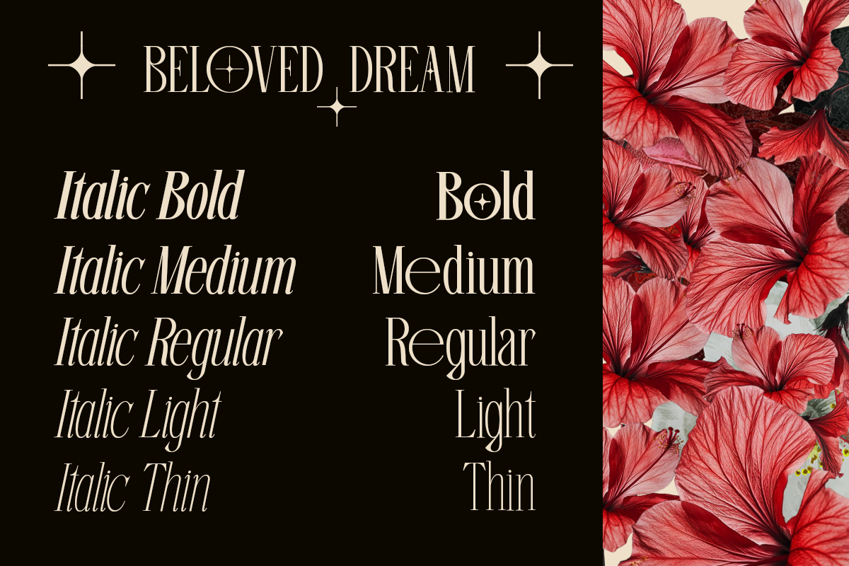 Beloved Dream - 10 Variable Font, a Serif Font by Say Studio (Photo 2 of 13)
