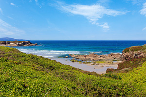 Summer blossoming Atlantic coastline (Galicia)., a Nature Photo by YuriyB